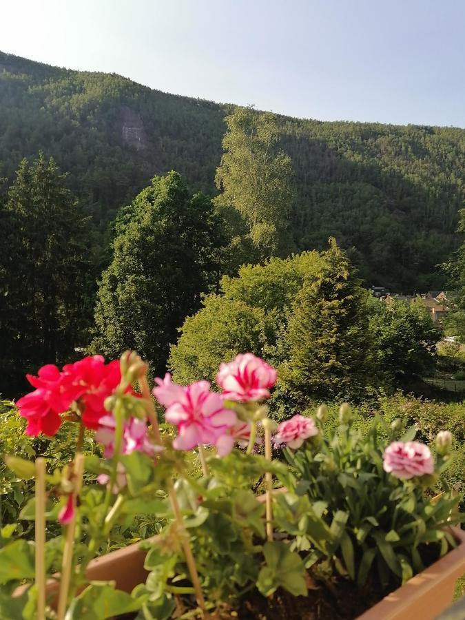 Chez Many, Par Fred Et Henri Bed and Breakfast Monthermé Εξωτερικό φωτογραφία