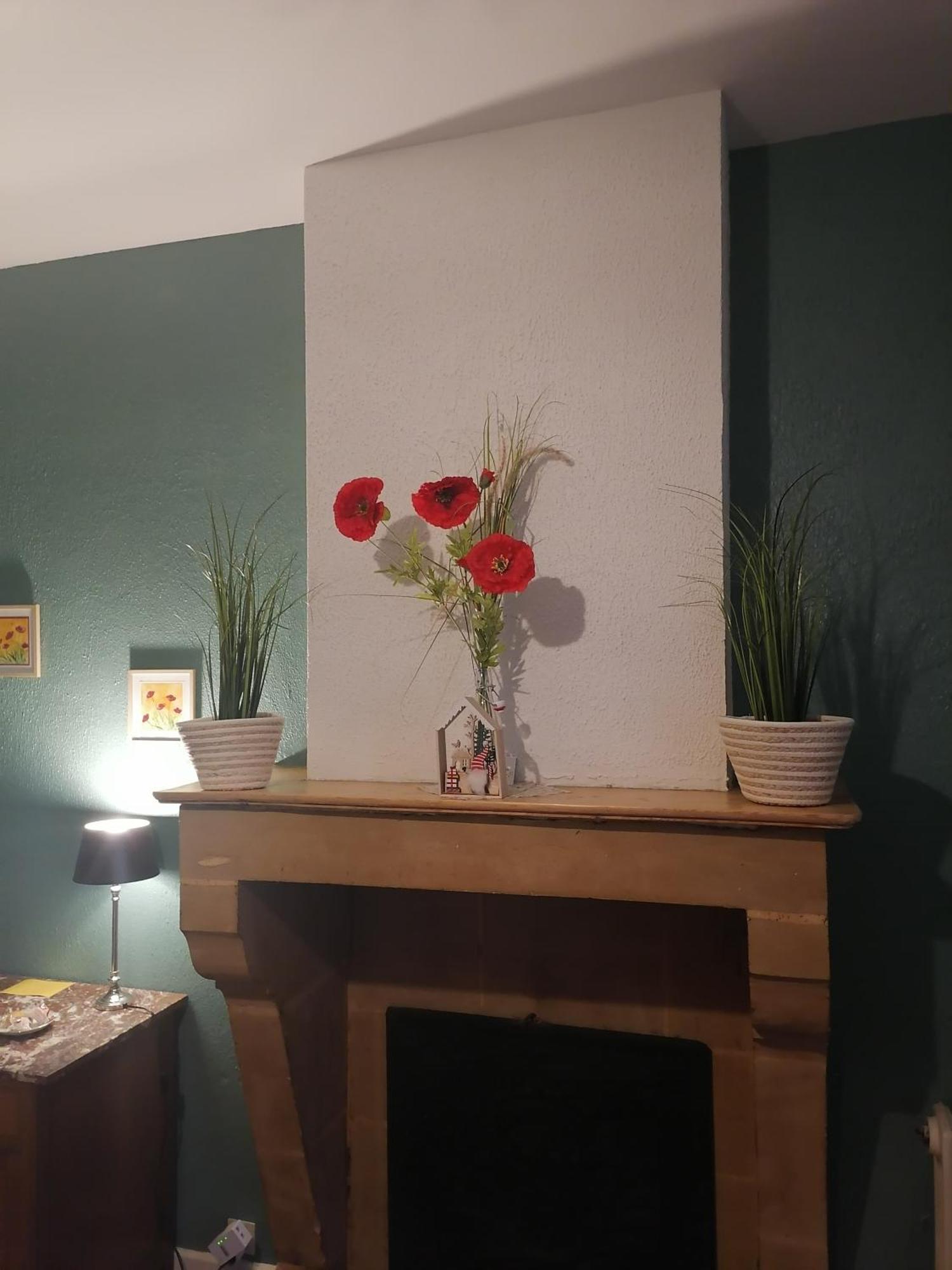 Chez Many, Par Fred Et Henri Bed and Breakfast Monthermé Εξωτερικό φωτογραφία
